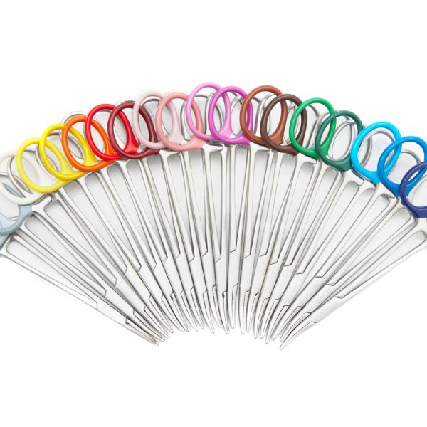 1Rainbow1